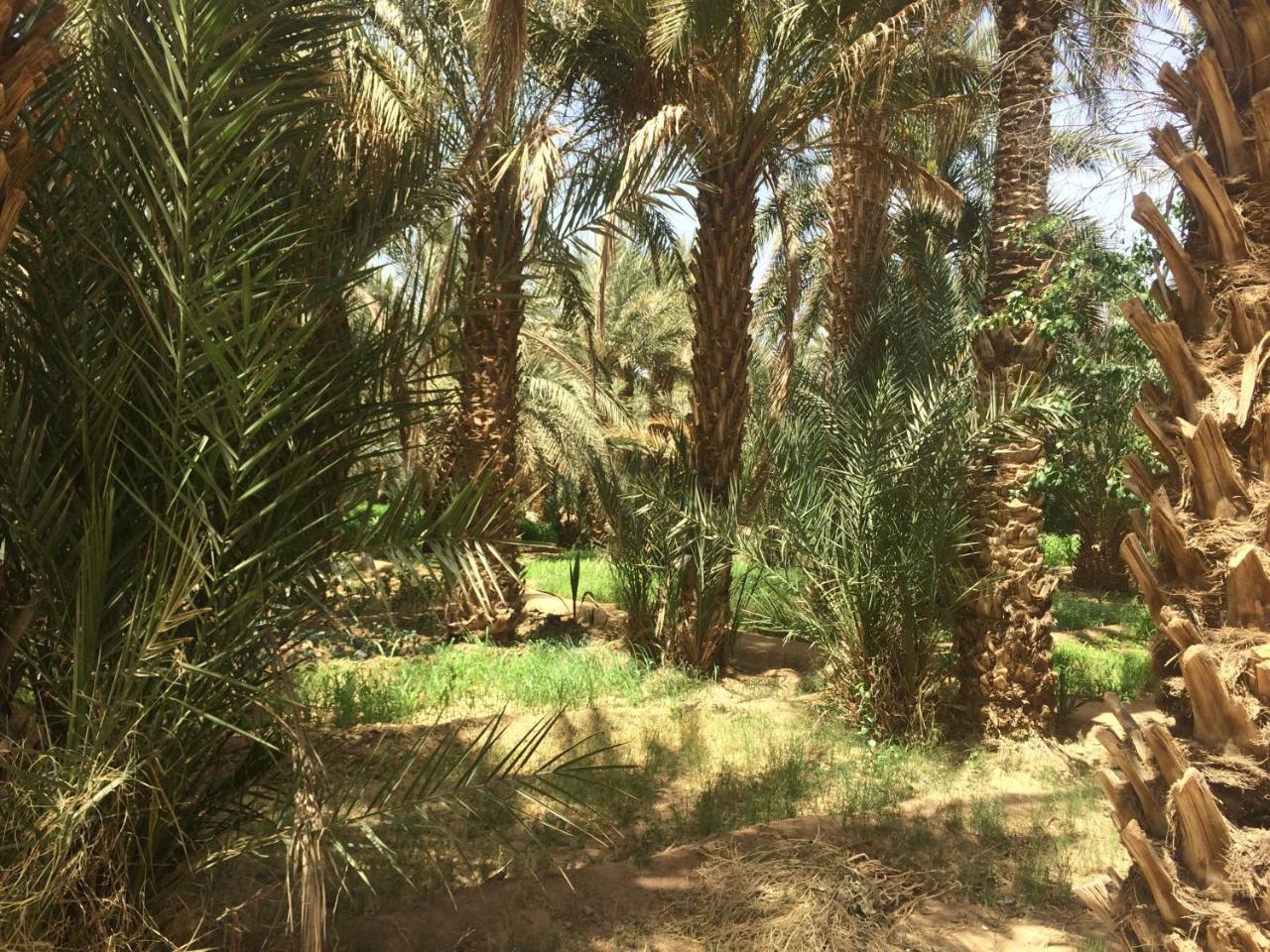 Kasbah Aiour Merzouga